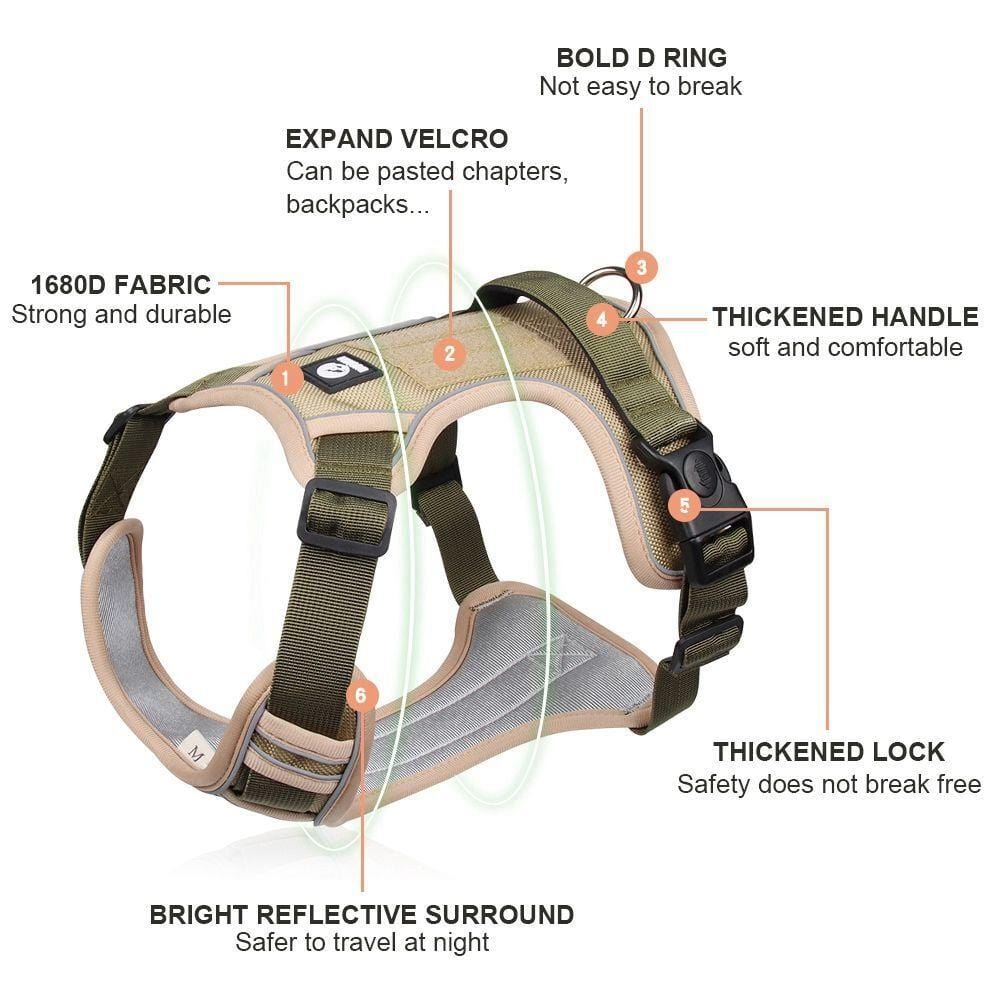The Dogz Pawz Adjustable Harness with Handle