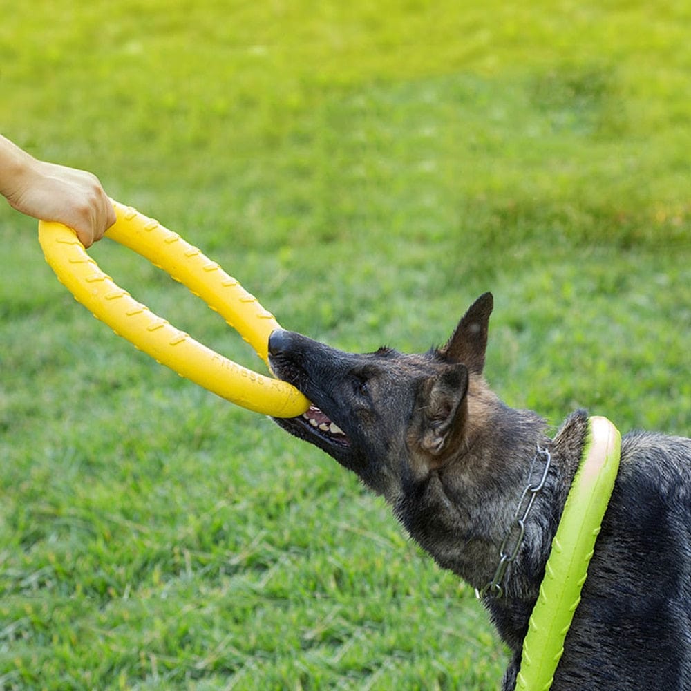 The Dogz Pawz Flying Ring Disc