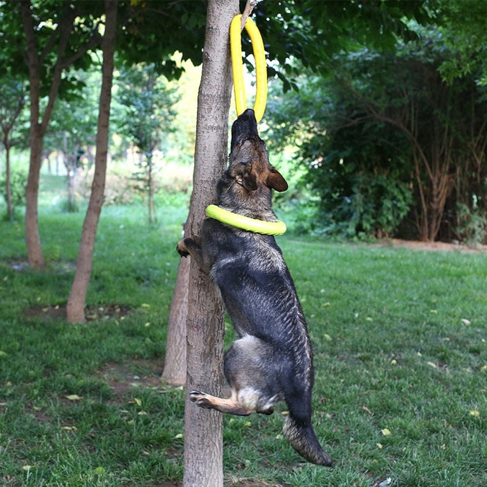 The Dogz Pawz Flying Ring Disc