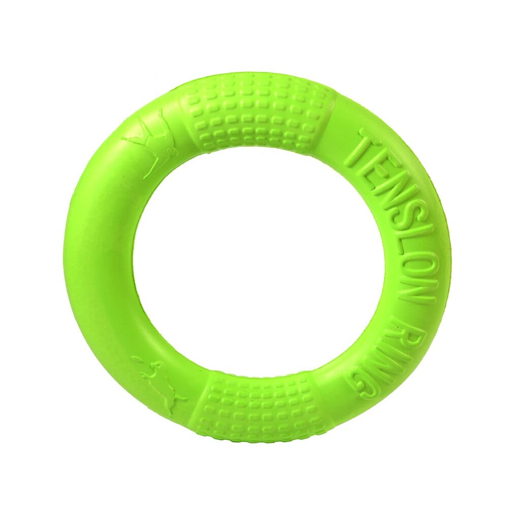 The Dogz Pawz Green / 17CM Flying Ring Disc