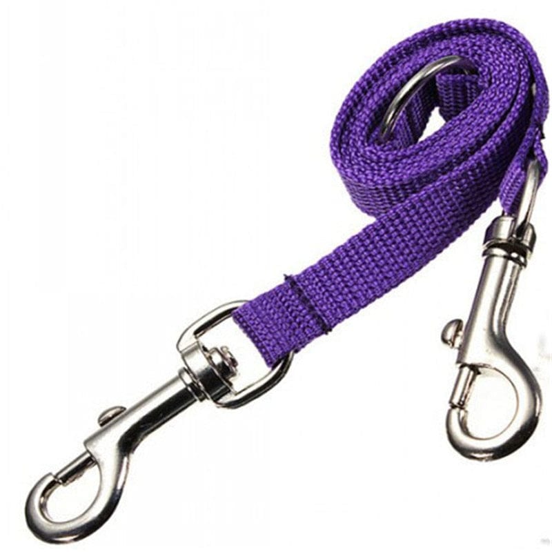 The Dogz Pawz Purple Leash Coupler for 2 Dogs