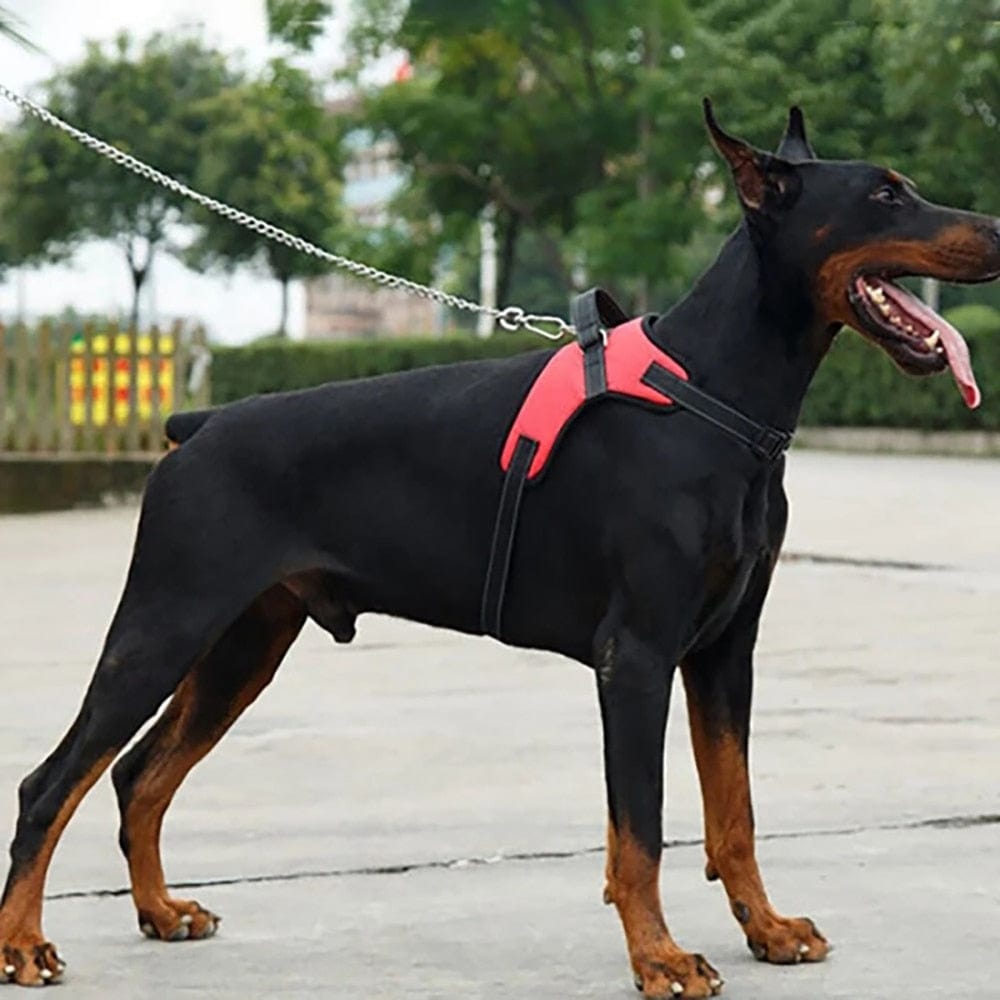 The Dogz Pawz Adjustable Harness