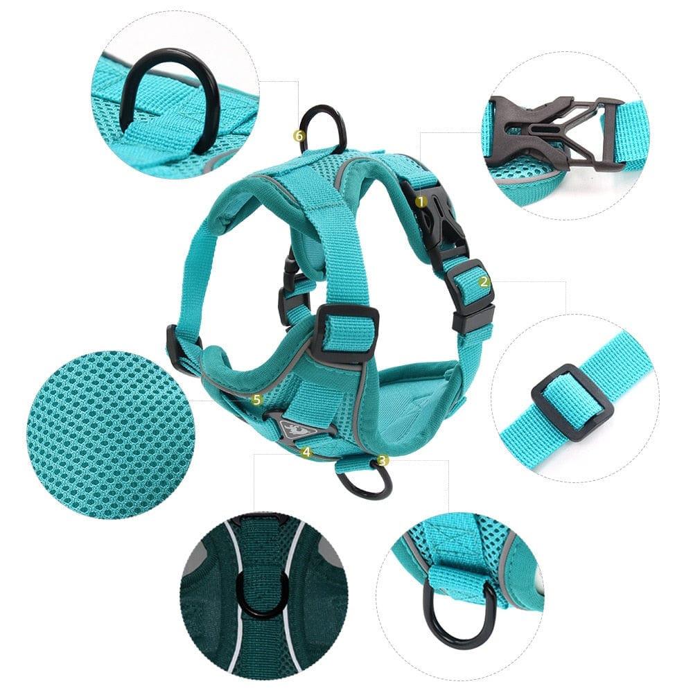 The Dogz Pawz Adjustable Harness & Leash Set for Small Dogs