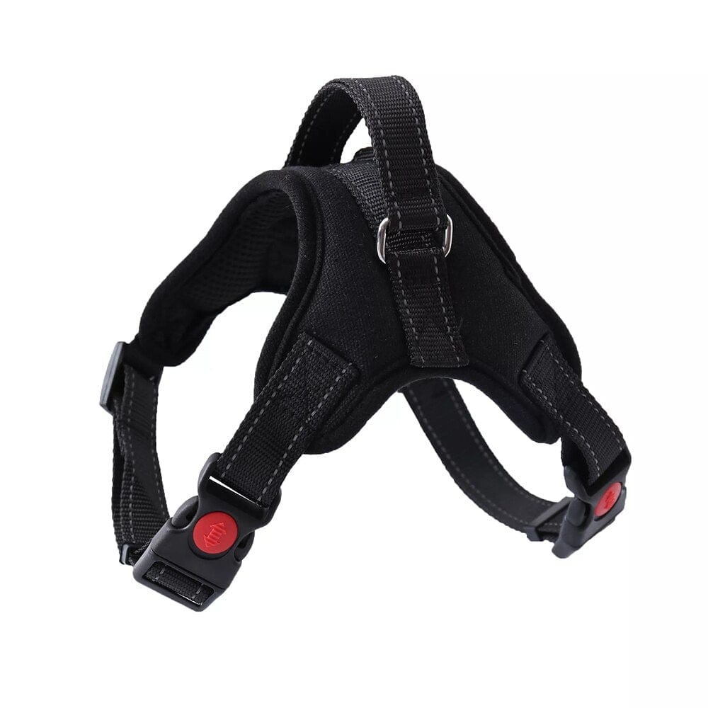 The Dogz Pawz Black / XS Adjustable Harness