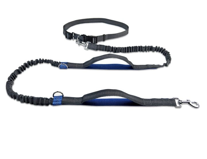 The Dogz Pawz Blue Hands-Free Dog Leash For Running