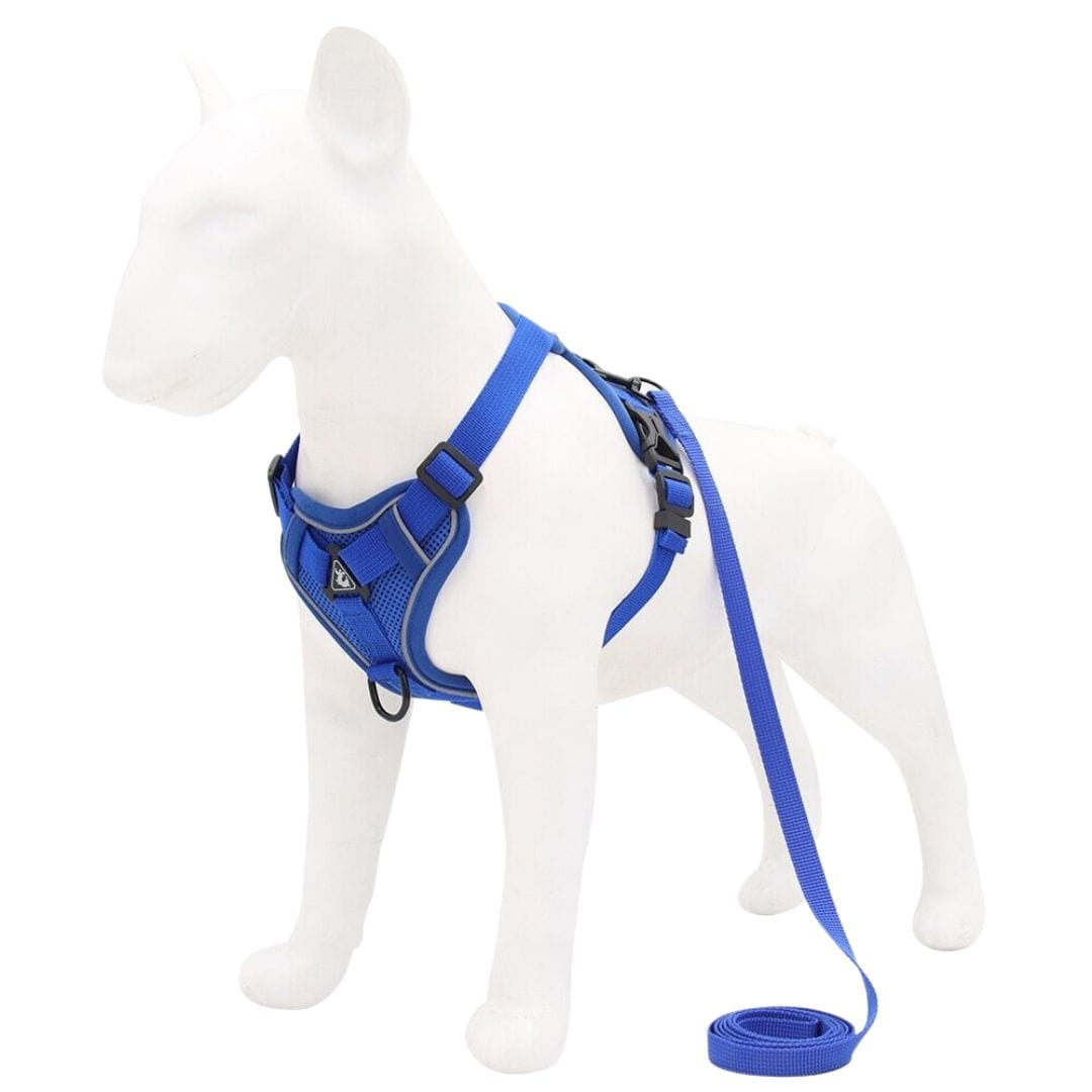 The Dogz Pawz Blue / S Adjustable Harness & Leash Set for Small Dogs