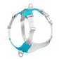 The Dogz Pawz Blue / S Y-Shaped Harness
