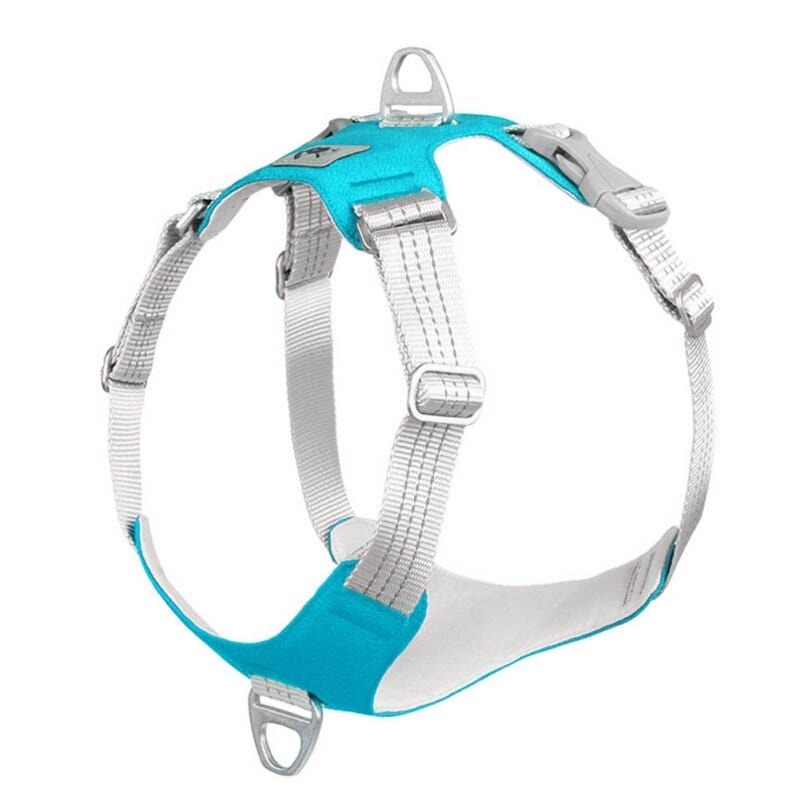 The Dogz Pawz Blue / S Y-Shaped Harness