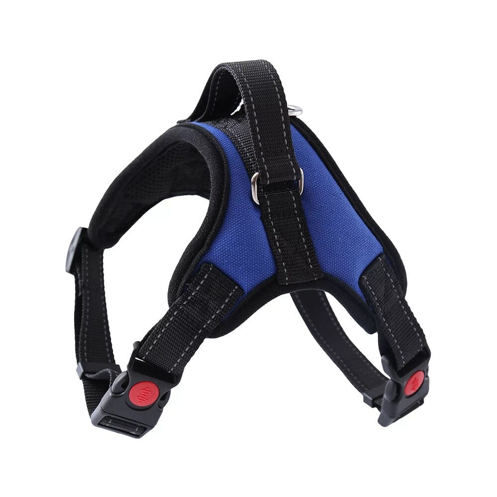 The Dogz Pawz Blue / XS Adjustable Harness