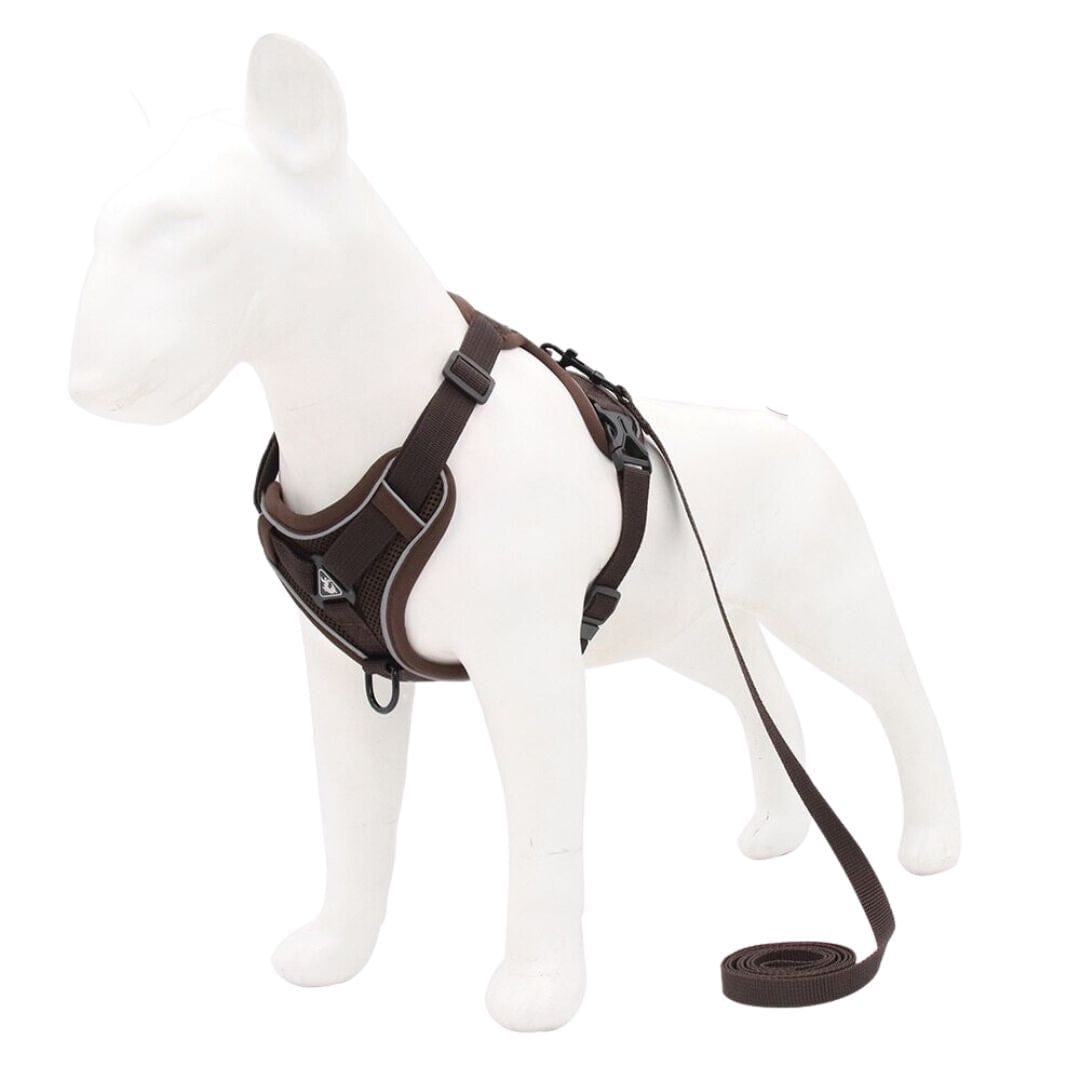 The Dogz Pawz Chocolate / S Adjustable Harness & Leash Set for Small Dogs