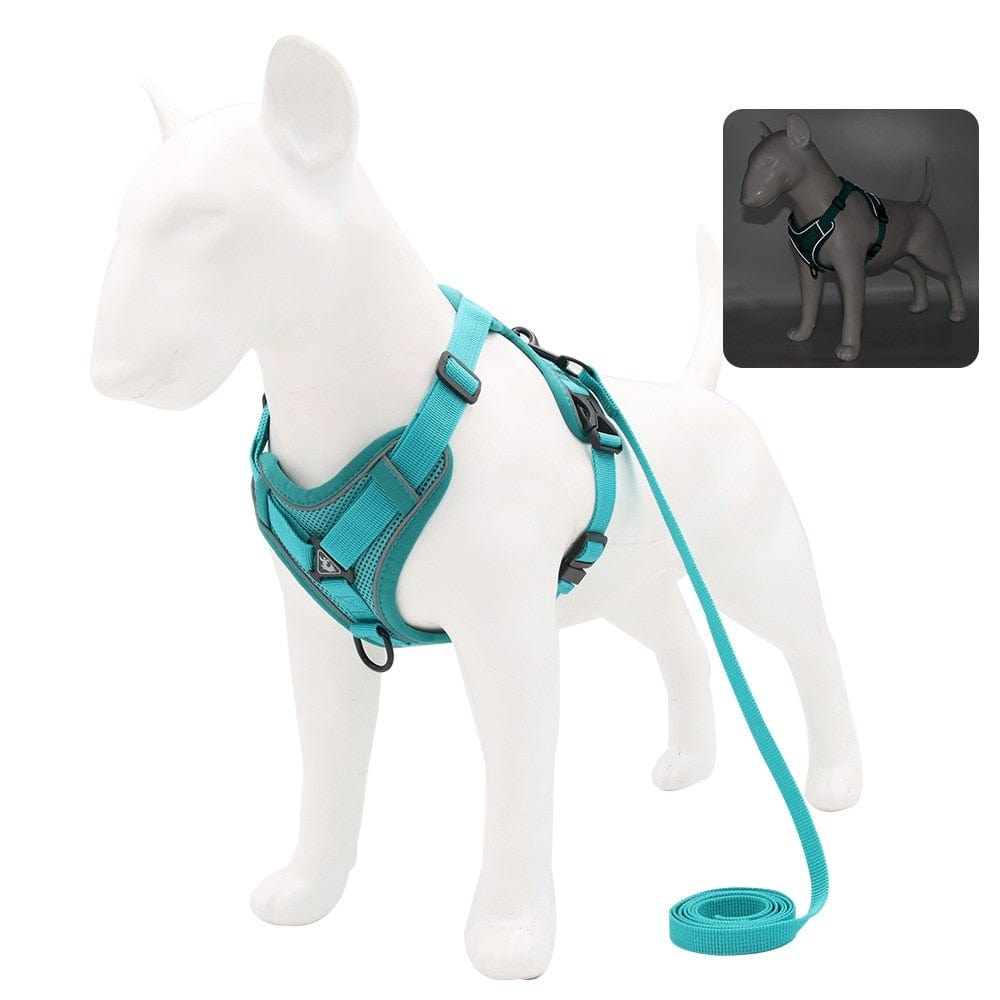 The Dogz Pawz Green / S Adjustable Harness & Leash Set for Small Dogs