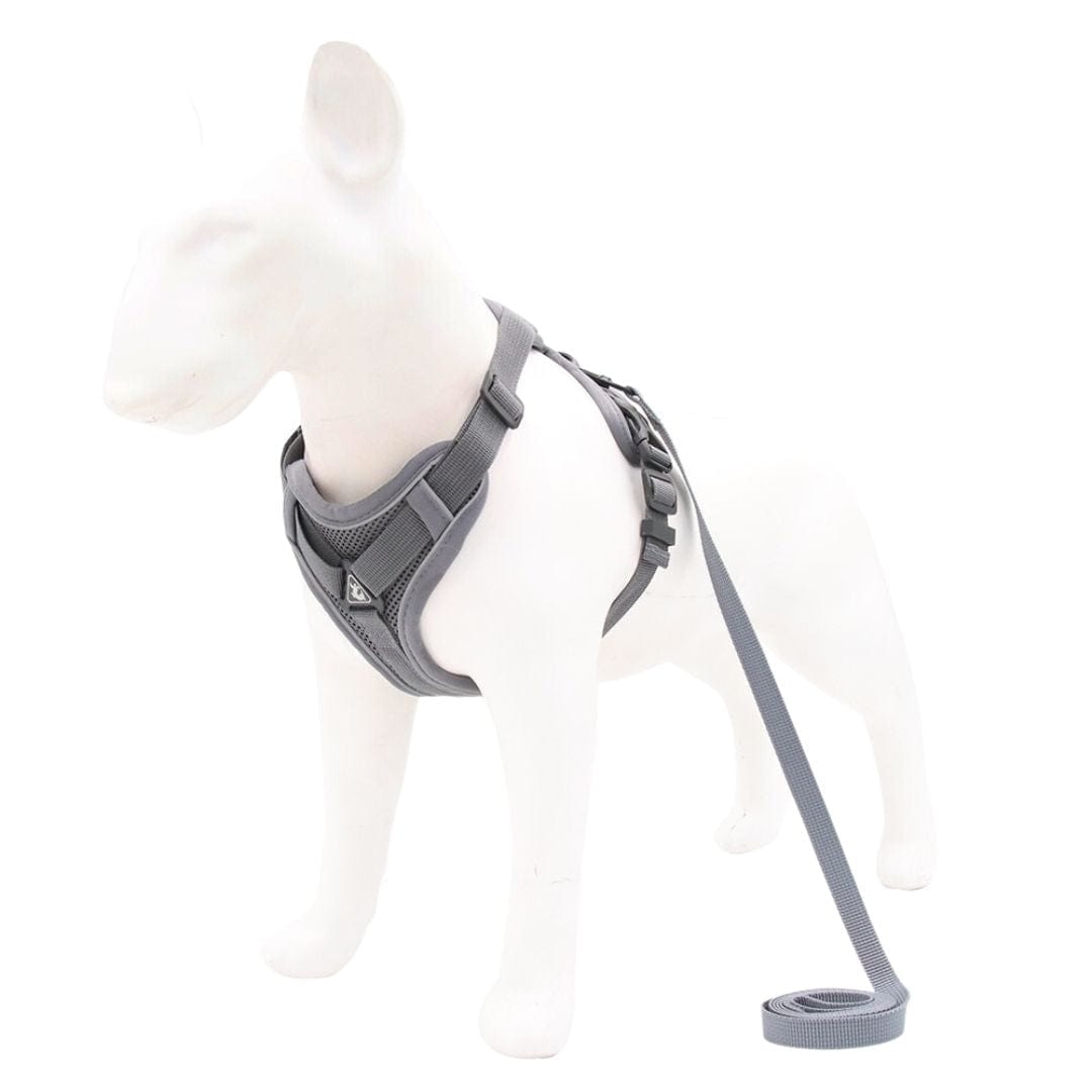 The Dogz Pawz Grey / S Adjustable Harness & Leash Set for Small Dogs