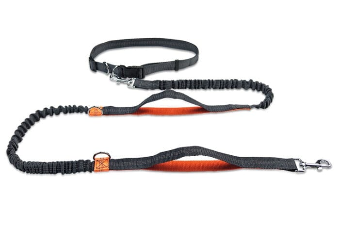 The Dogz Pawz Orange Hands-Free Dog Leash For Running