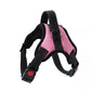 The Dogz Pawz Pink / XS Adjustable Harness