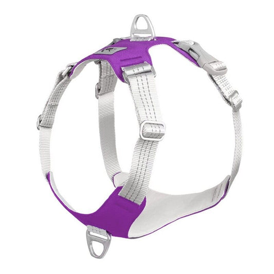 The Dogz Pawz Purple / S Y-Shaped Harness