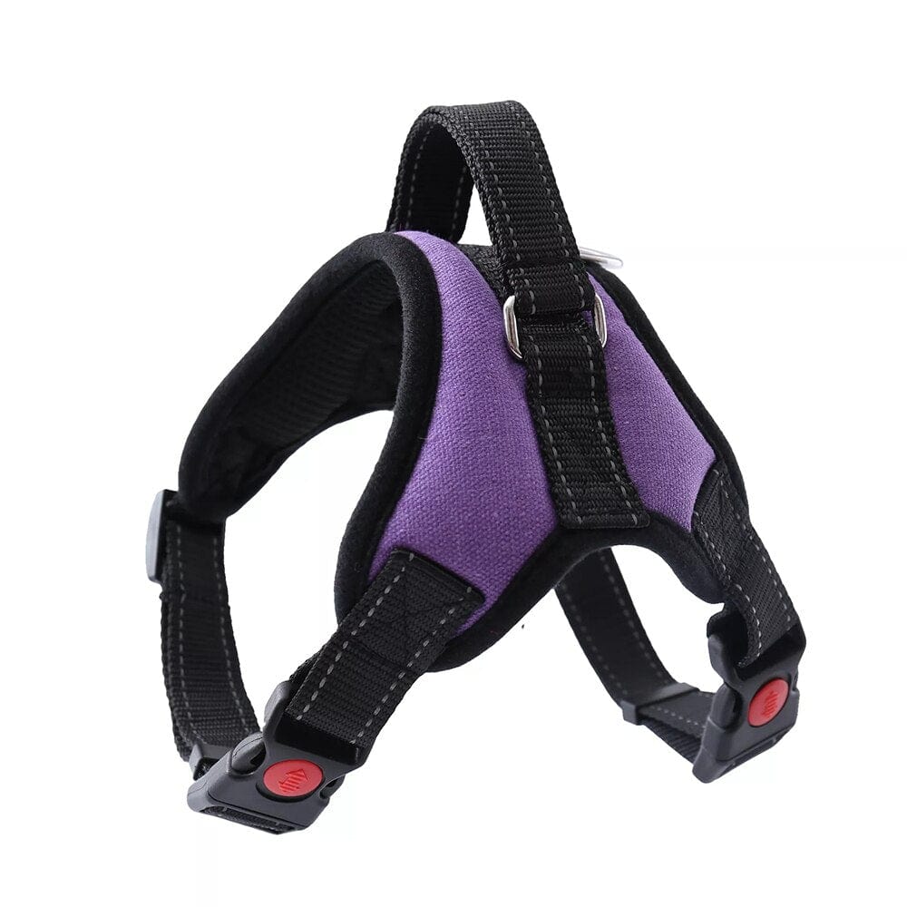 The Dogz Pawz Purple / XS Adjustable Harness