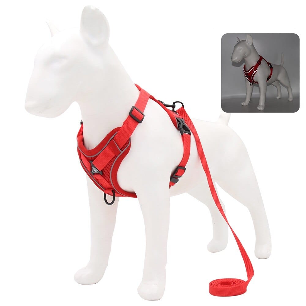 The Dogz Pawz Red / S Adjustable Harness & Leash Set for Small Dogs