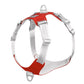 The Dogz Pawz Red / S Y-Shaped Harness