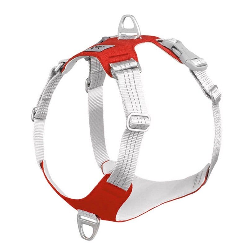 The Dogz Pawz Red / S Y-Shaped Harness