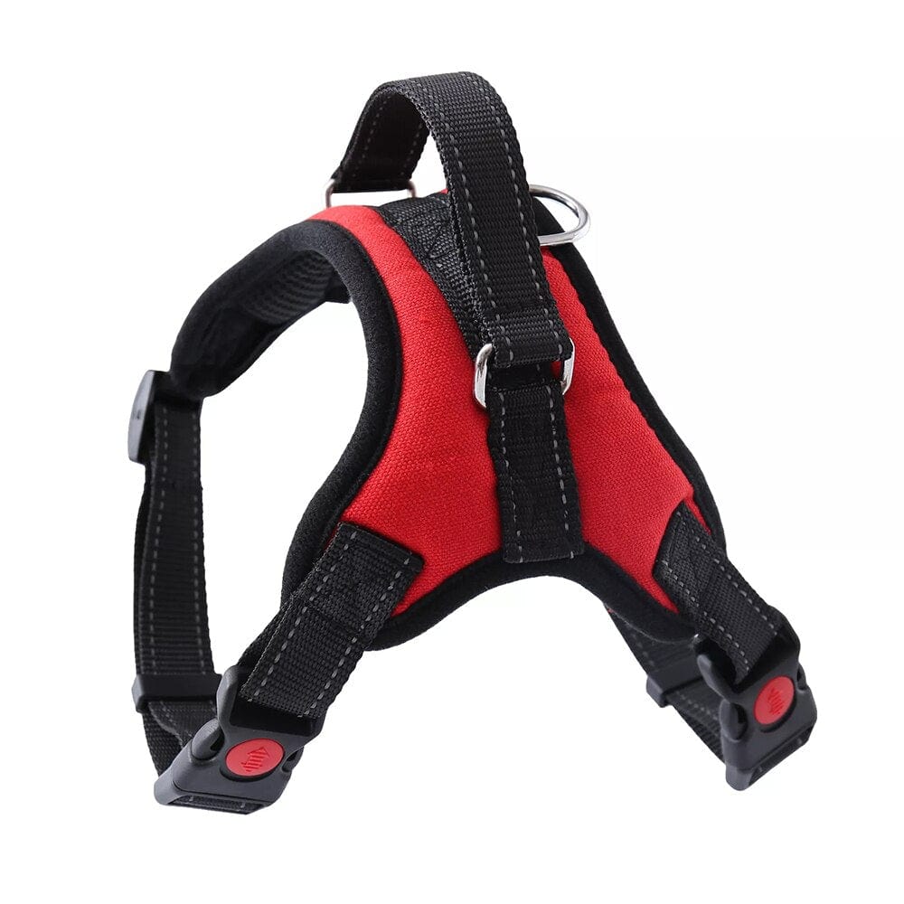 The Dogz Pawz Red / XS Adjustable Harness