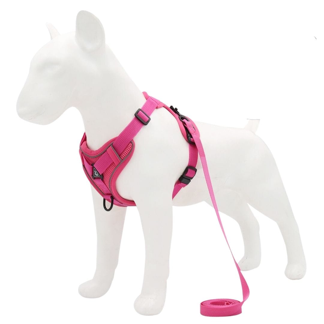 The Dogz Pawz Rose Red / S Adjustable Harness & Leash Set for Small Dogs